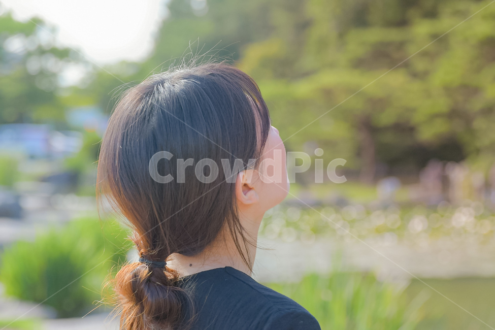 여자,사람,머리,묶은머리,햇살,따뜻한,식물,뒷모습,woman,human,person,sunlight,hair,사람,인물,인간,human,person,여성,여자,woman,female,lady