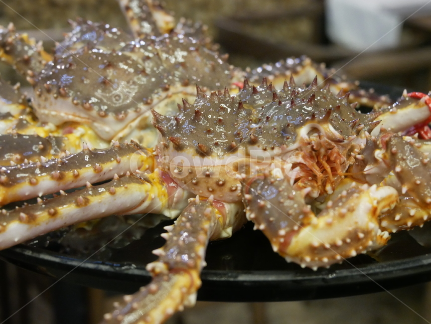 킹크랩,kingcrab,게,갑각류,음식,요리,음식,식재료,요리,food,cook,meal,dishes,food reserves,수산물,해산물,fishery products,seafood