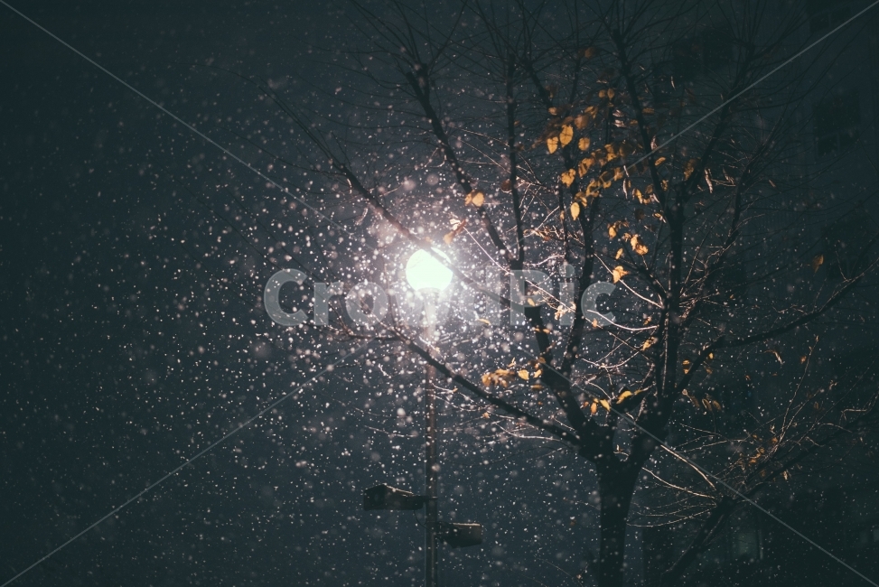 눈,겨울,첫눈,스노우,snow,감성,감성사진,등,가로등,램프,lamp,winter,야경,밤사진,밤,밤눈,nightscape,D750,Naemamfoto,내맘포토,겨울,계절,winter,season,야경,밤,풍경,nightscape,night,landscape,감성,sensible,feeling,light,빛,flare,플레어