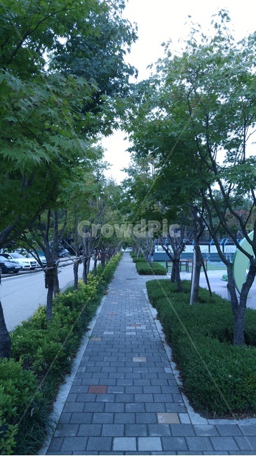 나무,풍경,길,운치,산책,자연,풍경,nature,landscape,tree,plant,식물,path,통로,tree trunk,나무 줄기,outdoors,옥외,garden,정원