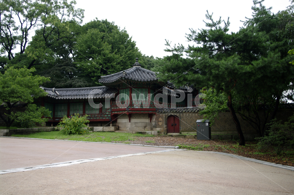 창덕궁,고궁,전각,한옥,전통가옥,기와지붕,건축,traditional,한국전통,한국문화,korean traditional,korean culture,랜드마크,landmark,tourist attraction,한국랜드마크,한국관광지,한국명소,korea landmark,korea tourist attraction,건축물,건물외관,exterior,building,structure,architecture,construction