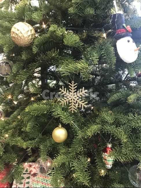 plant,식물,ornament,장식,tree,나무,christmastree,크리스마스트리,happy,happyholidays,merrychristmas,snowman,눈사람,눈꽃,반짝이는,라이트,christmaslights,goldenball,겨울,winter