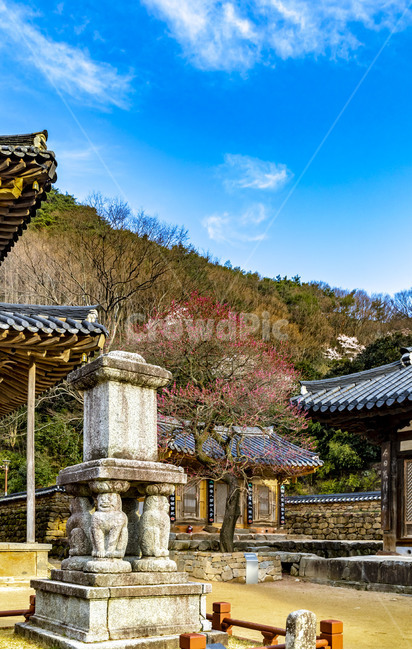 화엄사,각황사,사찰,문화유산,문화재,사자탑,석탑,전통건축물,기와,지붕,처마,추녀,감성