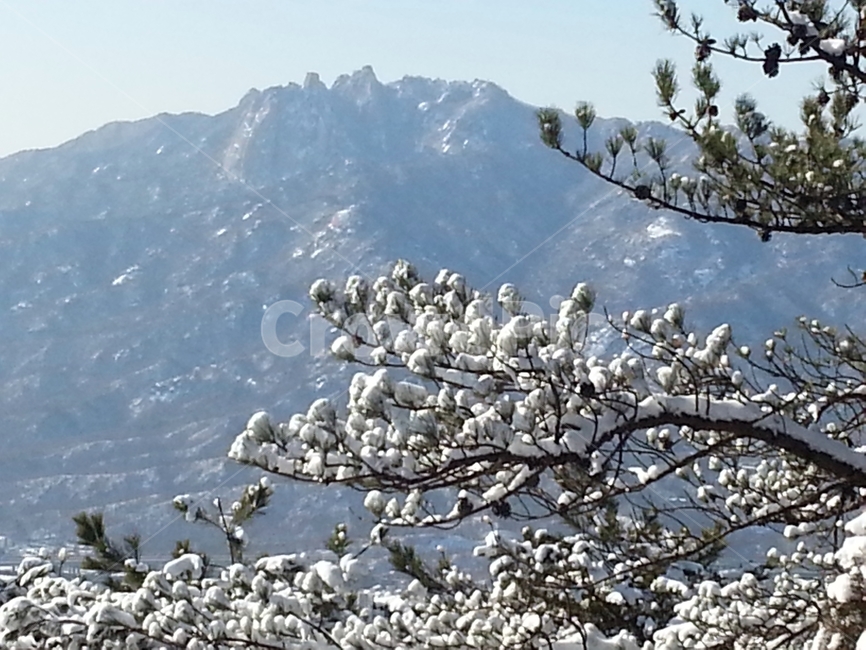 눈꽃,눈,설경,겨울나무,겨울산,서리,겨울,계절,winter,season,자연,풍경,nature,landscape