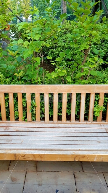 벤치,의자,가구,정원,가든,자연,나무,휴식,편안,안정,심플,단순한,깔끔한,bench,furniture,garden,nature,relax,simple,인테리어,공간,배경,월페이퍼,백그라운드,휴식,힐링,rest,relaxation,healing