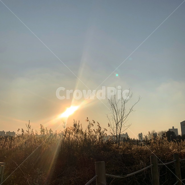 풍경,하늘,나무,땅,태양,구름,겨울,자연,힐링,편안함
