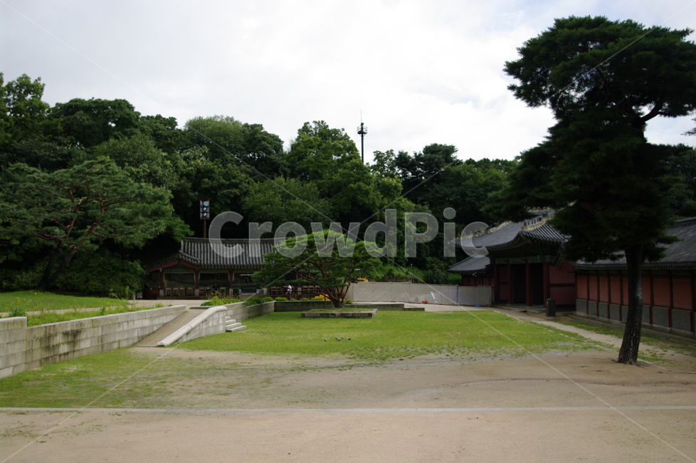 창덕궁,고궁,한옥,전통가옥,기와지붕,건축,traditional,랜드마크,landmark,tourist attraction,한국랜드마크,한국관광지,한국명소,korea landmark,korea tourist attraction