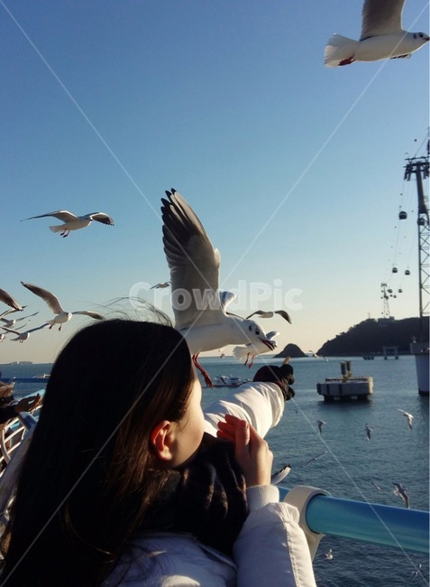 갈매기,바다,gull,sea,부산,busan,먹이,여행,동물,animal,조류,새,birds,사람,인물,인간,human,person,여성,여자,woman,female,lady