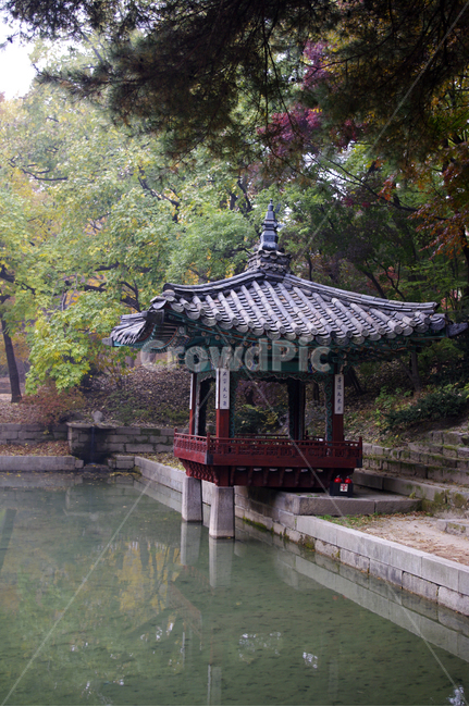 애련지,애련정,창덕궁후원,고궁,건축,전통건축,traditional,전통,기와지붕,가을,fall,나무,식물,plant,단풍,한국전통,한국문화,korean traditional,korean culture,랜드마크,landmark,tourist attraction,한국랜드마크,한국관광지,한국명소,korea landmark,korea tourist attraction