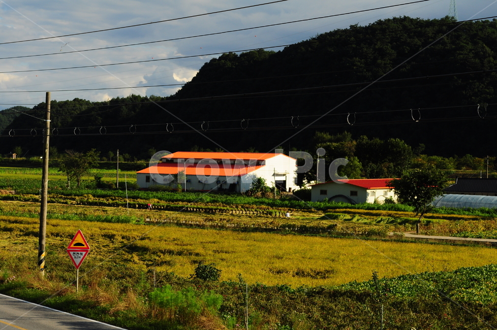 시골,전봇대,시골풍경,자연,산,하늘,밭,공장,시골,마을,풍경,landscape,country,rural,town
