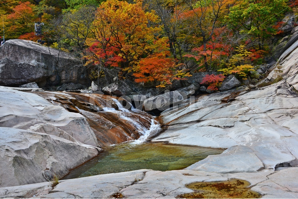 tree,나무,plant,식물,leaf,잎,nature,자연,outdoors,옥외,mountain,산,설악산,비선대,권금성,계곡,설악산가을,추색,만추,국립공원,가을,계절,fall,autumn,season,자연,풍경,nature,landscape