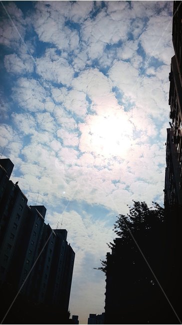 하늘,태양,건물,구름,아파트,배경,노을나무,도시,풍경,city,landscape,building,office building,사무실 건물