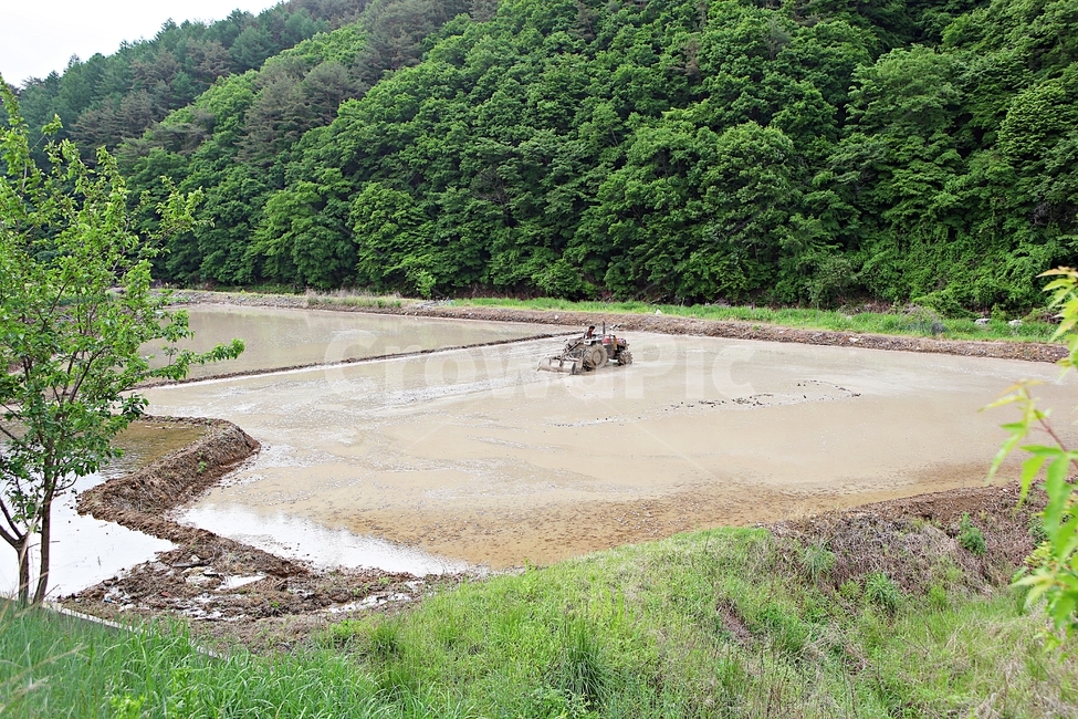 논갈이,농사,트렉터,논,풍경,배경,자연,산업,industry,industrial,농업,농사,agriculture,farming,farming industry