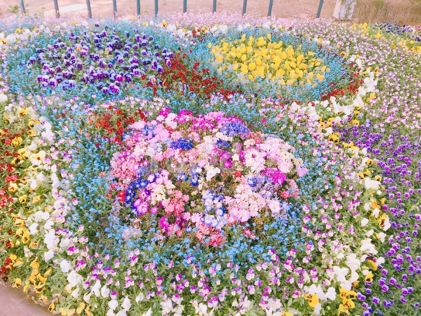 꽃,공원,보라매,화려,정원