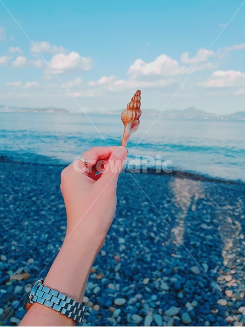 조개,하늘,바다,파란하늘,풍경,청명,파도,소라,프로필,사진,신체일부,몸,body