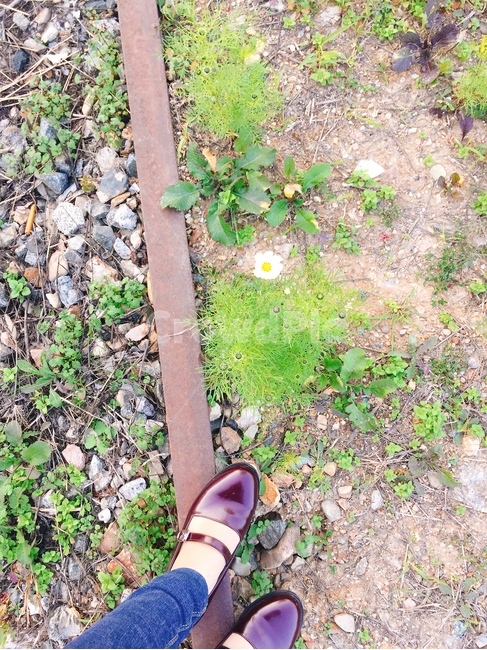 메리제인,쉼,풀,발,철길