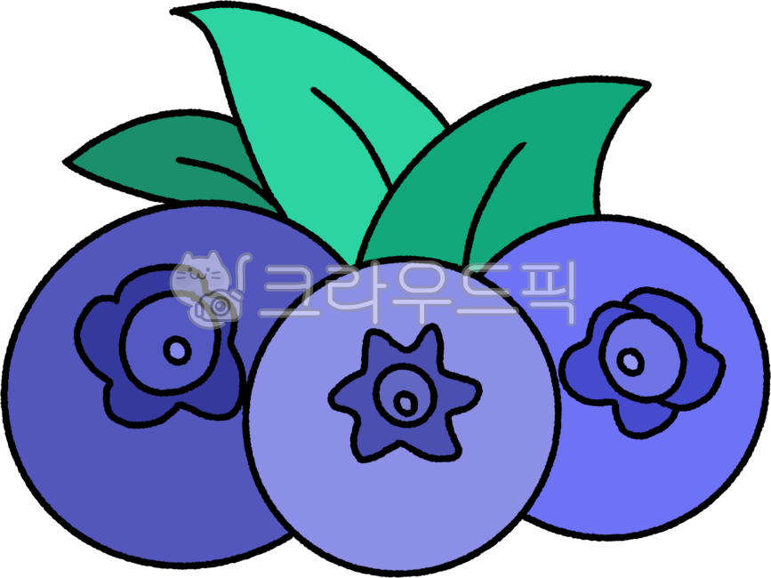 블루베리,열매,관목성열매,눈건강,안토시안,여름과일,보라색,초록색,싱싱한,달콤한,건강한과일