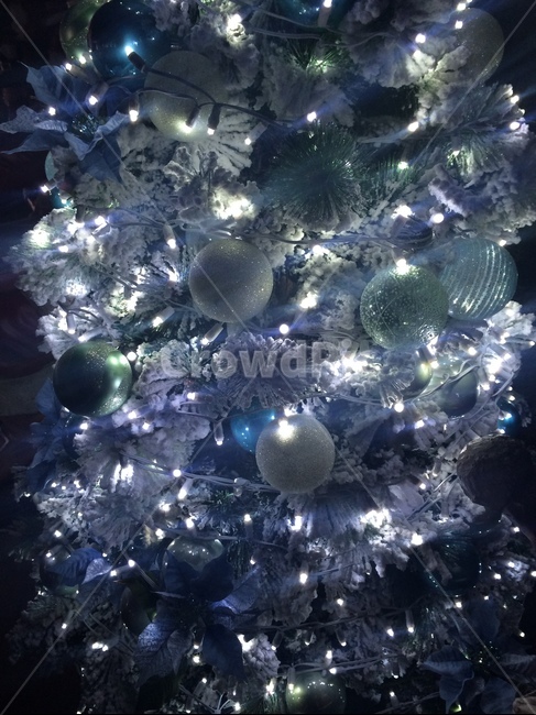 bulb,tree,tree decoration,blue tree,christmas