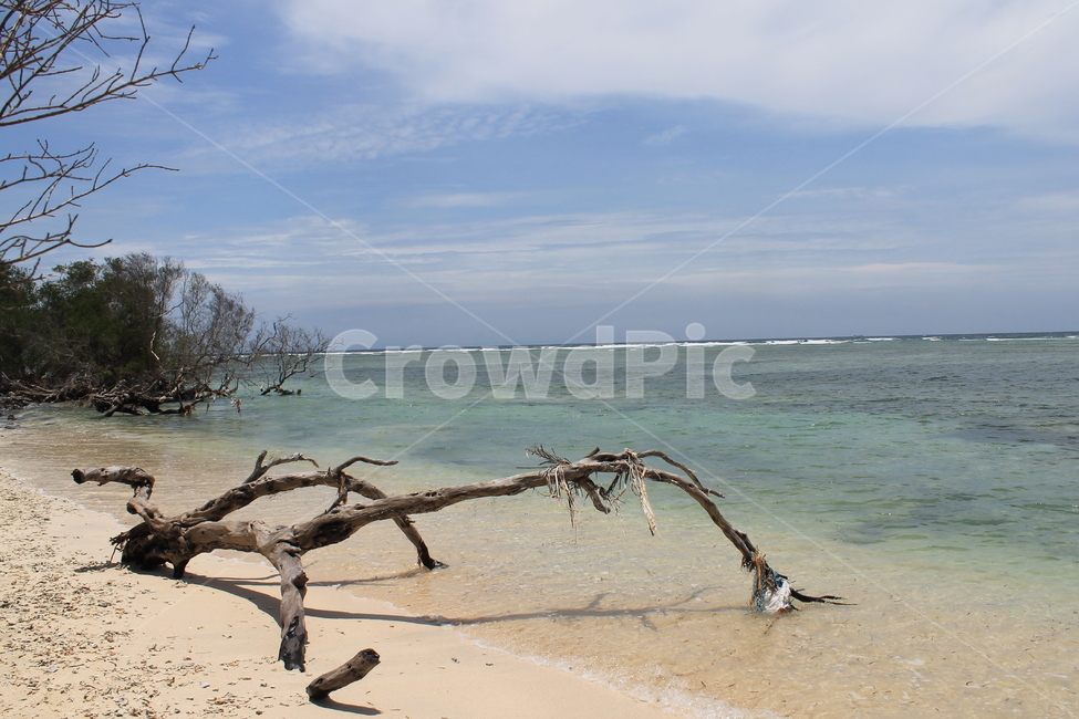 인도네시아,길리,해변,indonesia,gili,beach,나무해변,beachandtrees,vacation,고즈넉