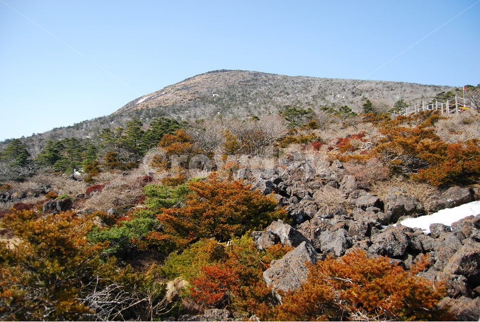 한라산,한국,명산,하늘,나무,자연,풍경,nature,landscape,한국자연풍경,한국자연경관,korea nature landscape,제주도,jeju,jeju island,outdoors,옥외