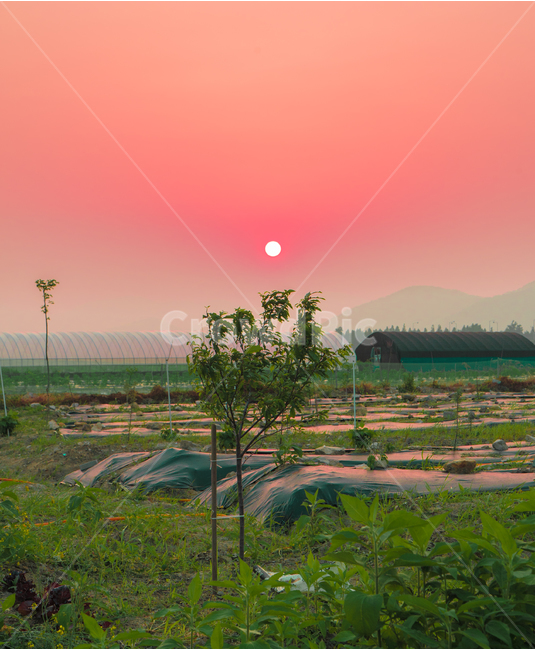 자연,풍경,감성,nature,scenery,landscape,시골,마을,풍경,landscape,country,rural,town,색깔,색상,색채,색감,color sense,color sensitivity,feeling of color,산업,industry,industrial,농업,농사,agriculture,farming,farming industry