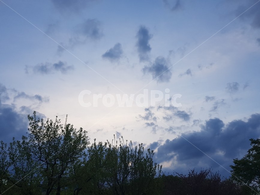 자연,nature,하늘,sky,weather,날씨,옥외,outdoors
