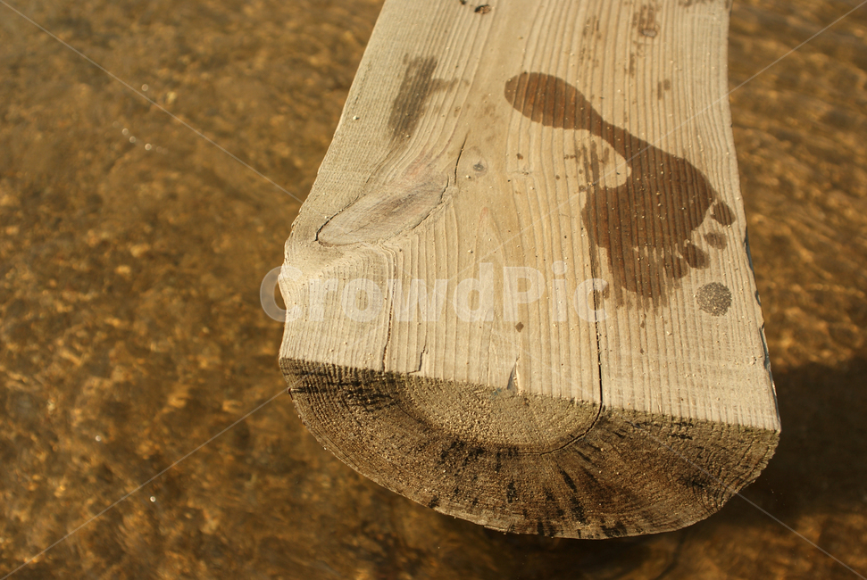 발자국,강,물,다리,외나무다리,나이테,흔적,반짝거림,riverbridge,footprint,annualring,나무,trees,wood