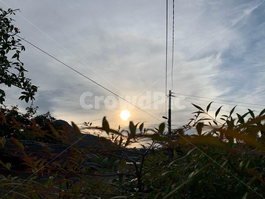 nature,자연,outdoors,옥외,flare,light,햇빛