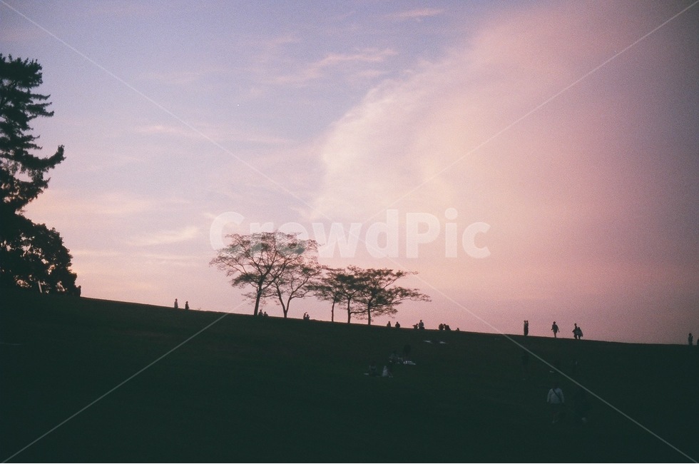 나무,하늘,노을,석양,역광,잔디,공원,저녁,자연,풍경,nature,landscape,사람들,대중,군중,other people,crowd,감성,sensible,feeling,outdoors,옥외,tree,plant,식물