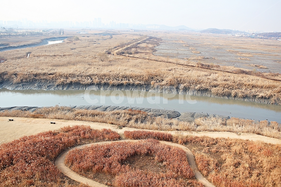 소래습지생태공원,갯골,뻘,갯벌,갈대,식믈,자연,풍경,잡초,풀,가을,바다물,생태공원,공원