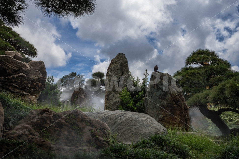 홍콩,난리안가든,풍경,여행,감성,자연,풍경,nature,landscape,해외,외국,세계,foreign,oversea,world,세계자연풍경,해외자연풍경,외국자연풍경,world nature landscape,outdoors,옥외