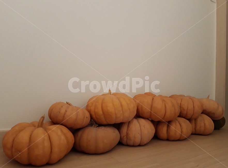 호박,늙은호박,수확,식재료,채소,음식,식품,야채,pumpkin,food,cook,meal,음식,식재료,요리,food,cook,meal,dishes,food reserves,채소,야채,vegetables