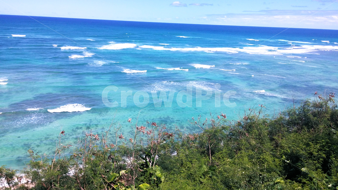 ocean,대양,water,outdoors,land,나라,shoreline,연안,coast,곶,promontory,plant,식물,여름,summer,바다,풍경,바닷가,자연,nature,sea,해안선,물,beach,해외,휴양지,휴가
