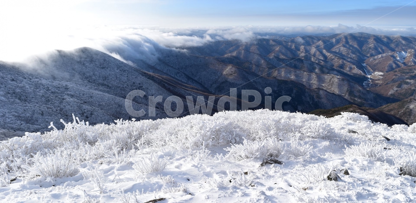 태백산,설경,상고대,눈꽃,풍경,겨울,겨울왕국,서리꽃,눈천제단,산철쭉,자연,스포츠,등산,산행,nature,snow,설국,겨울풍경,느낌,아름다운,신비로운,경이로운,다큐,필,디자인,힐링,명산,국립공원,순백,landscape,winter,season,천제단,운해,영산,파노라마,겨울,계절,winter,season,자연,풍경,nature,landscape,한국자연풍경,한국자연경관,korea nature landscape,mountain,산,outdoors,옥외,ice,얼음,눈