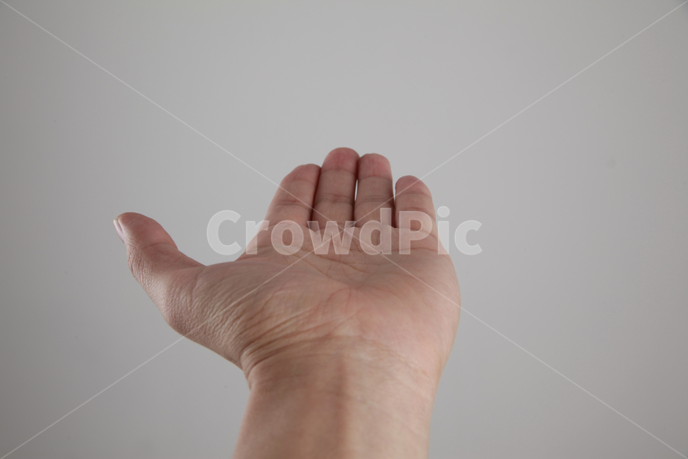 손,손모양,손가락,팔,왼손,손바닥,신체일부,손짓,표현,받침,사람,연출,컨셉,콘셉,동양인,human,person,body,hand,sign,expression,신체일부,몸,body,손,제스처,표시,손짓,표현,gesture,hand,sign,expression