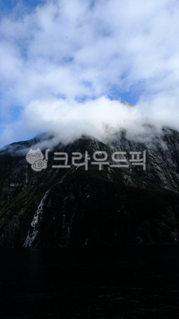 forest,beauty,cliff,fiordland,sound,destination,seal,scenery,scenic,rock,milfordsoundnewzealand,fjord,mountain,view,fall,waterfall,national,zealand,glacier,milford,park,new,milfordsound,famous,green,natural,nature,cascade,tree,peak,water,adventure,fiord,N