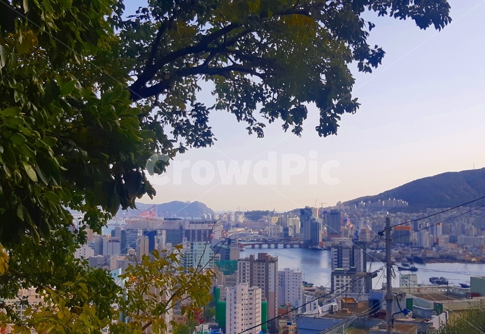 경치,자연,감성사진,풍경,view,nature,aerialview,조감도,outdoors,city,도시,레트로,도시풍경,빈티지,한국도시풍경,한국도시경관,korea cityscape