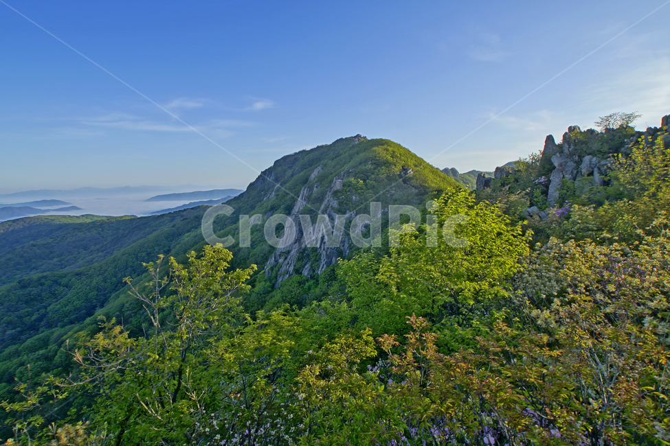황매산,합천군,철쭉,풍경,산,자연,풍경,nature,landscape,outdoors,옥외,hill,언덕