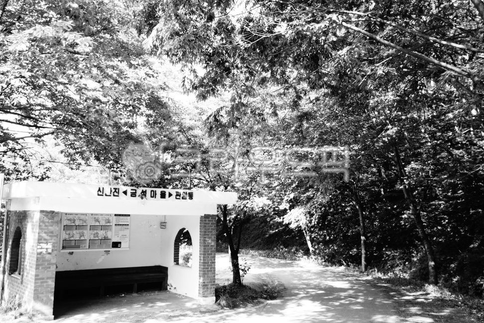 마을버스,정류장,버스정류장,시골버스정류장,섬뜩,흑백사진,흑백,귀신,오싹,scare,busstop