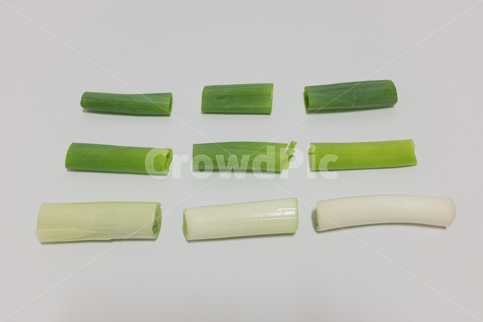 식품,식재료,초록색,식물,야채,채소,대파,줄기,손질,흰색,흰색배경,채소,야채,vegetables