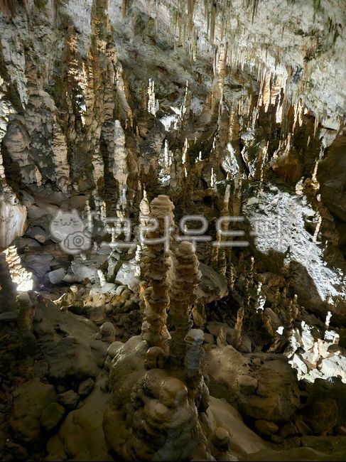 cave,Postojna Cave,nature,lime,karst terrain,Postojna,Slovenian,karst,balkan,llama,balkan peninsula,limestone cave,postoija,Yama Cave,europe