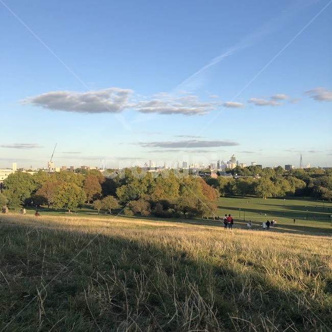 런던,해외,공원,cloud,sky,fall,autumn,green,park,외국,landscape