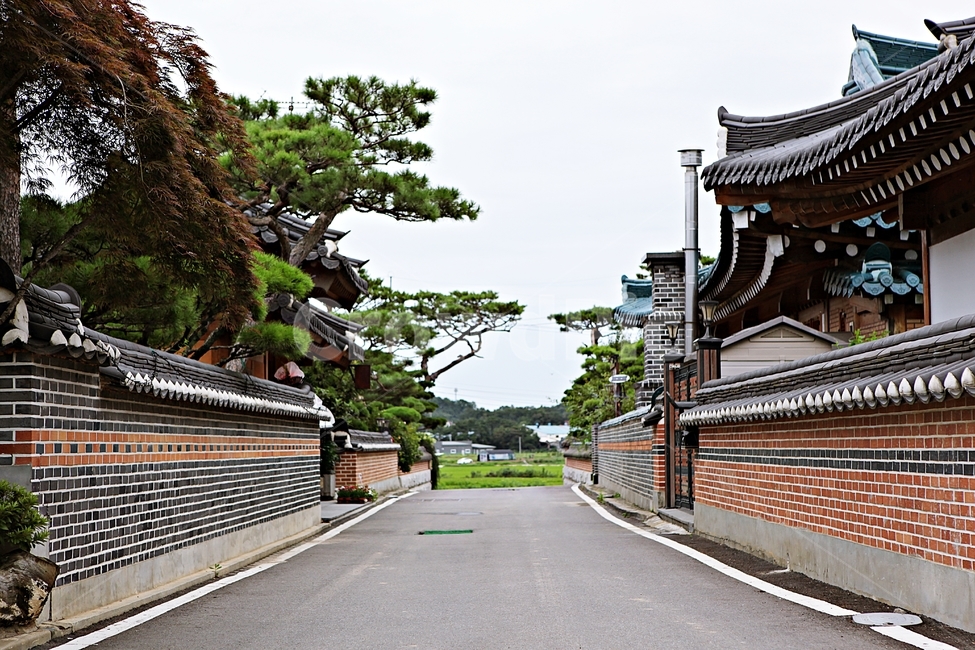 도솔미술관,미술관,한옥,한옥집,전통집,기와집,집,풍경,자연,나무,식물