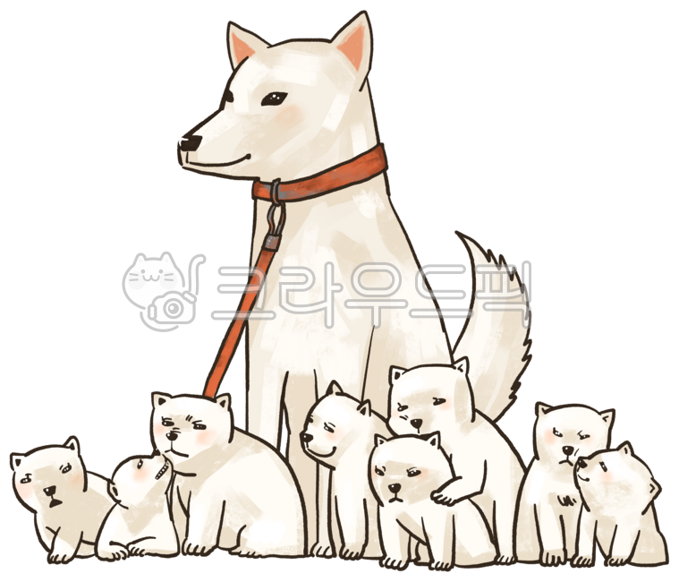 Dog,Jindo dog,puppy,doggy,dog,companion dog,pet,animal,animal rights,abandoned dog,abandoned dog service,abandoned dog shelter,service