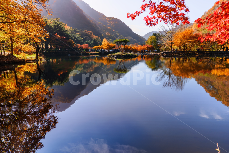 백양사,단풍,반영,수면,빨강,가을,연못,nature,자연,water,물,tree,나무,옥외,outdoors,식물,plant,국립공원,가을,계절,fall,autumn,season,자연,풍경,nature,landscape,한국자연풍경,한국자연경관,korea nature landscape