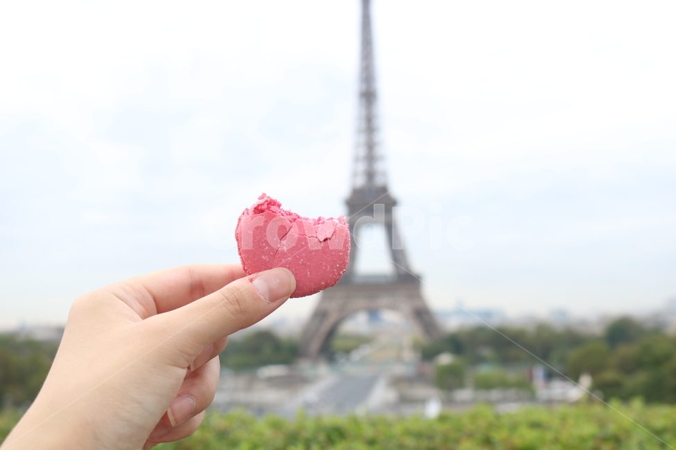 에펠탑,eiffel,프랑스,마카롱,france,touristattraction,디저트,후식,간식,dessert,landmark,europe,paris,랜드마크,landmark,tourist attraction,세계랜드마크,해외랜드마크,외국랜드마크,world landmark,world tourist attraction,디저트,간식,후식,dessert,snack,food,음식,confectionery,과자,sweets