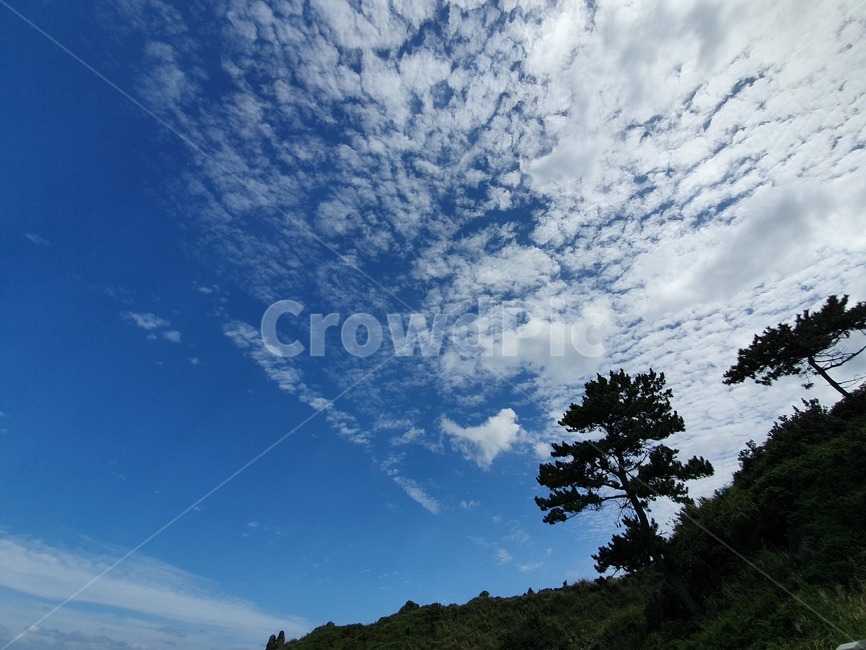 nature,자연,outdoors,옥외,하늘,구름,나무,파란색