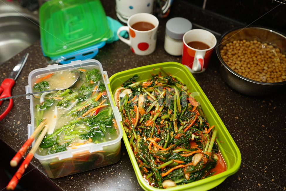 김치,열무,열무김치,반찬,한식,식단,먹거리,한국음식,집밥,반찬거리,음식,푸드,식사,우리집반찬,음식,식재료,요리,food,cook,meal,dishes,food reserves,채소,야채,vegetables,한식,한국음식,한국요리,korean food,korean dishes,korean meal,korean cook