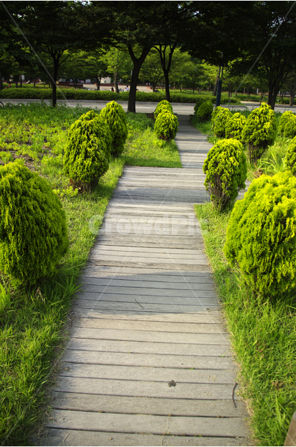 길,데크,나무,공원,자연,color,nature,자연,풍경,nature,landscape,garden,정원,outdoors,옥외,arbour,정자