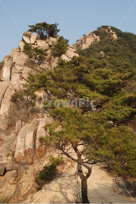 화왕산,창녕화왕산성,비들재,등산로,능선,치유,여행,돌,산행,힐링,자연,동행,등산,계절,한국,한국명산,한국등산,풍경,나무,하늘,바람,땅,자연,풍경,nature,landscape,한국자연풍경,한국자연경관,korea nature landscape,outdoors,옥외